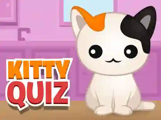 Gra Kitty Quiz w Internecie