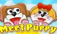 Gra Meet Puppy w Internecie