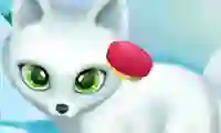 Gra Paws to Beauty Arctic Edition w Internecie