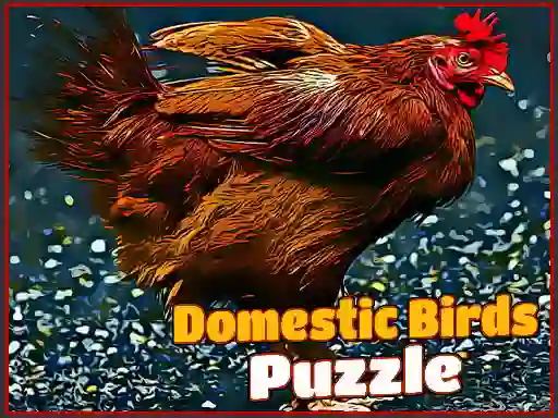 Gra Domestic Birds Puzzle w Internecie