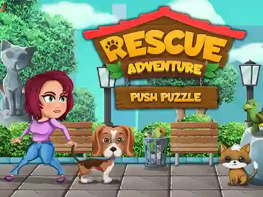 Gra Rescue Adventure Push Puzzle w Internecie