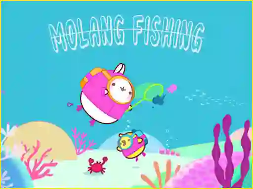 Gra Molang w Internecie