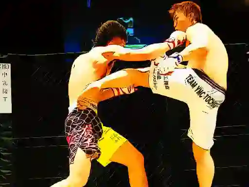 Gra UFC Fighting Match Jigsaw w Internecie