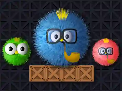 Gra Where Is My Ruffled Bird w Internecie