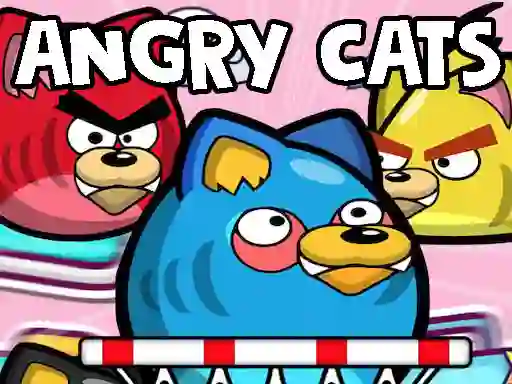 Gra Angry Cats w Internecie