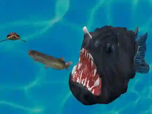 Gra Fish 3d w Internecie