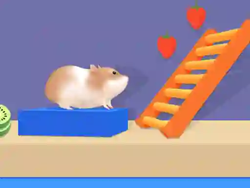 Gra Hamster Maze Online w Internecie