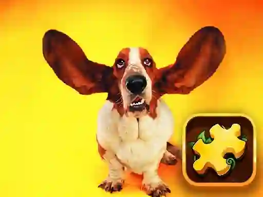 Gra Funny Dogs Puzzle w Internecie