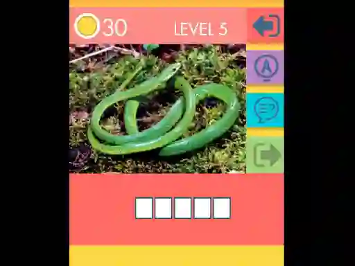 Gra 15 Picture Quiz w Internecie