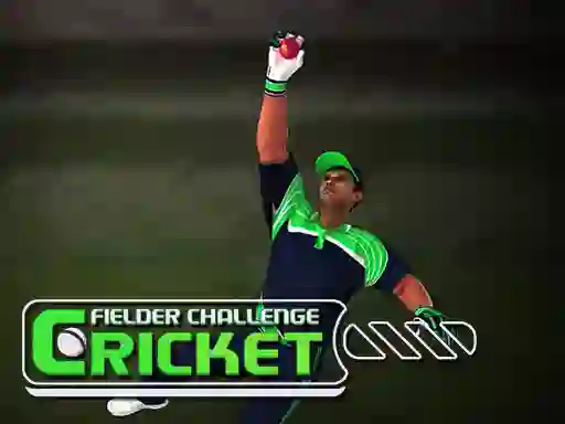 Gra Cricket Fielder Challenge w Internecie