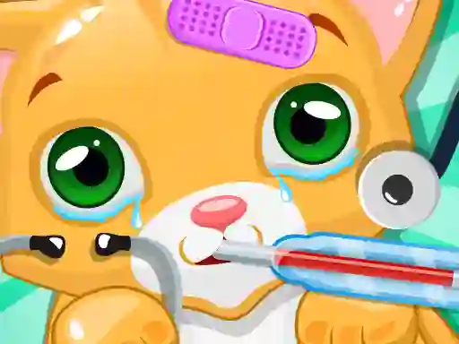Gra Kitty Doctor w Internecie