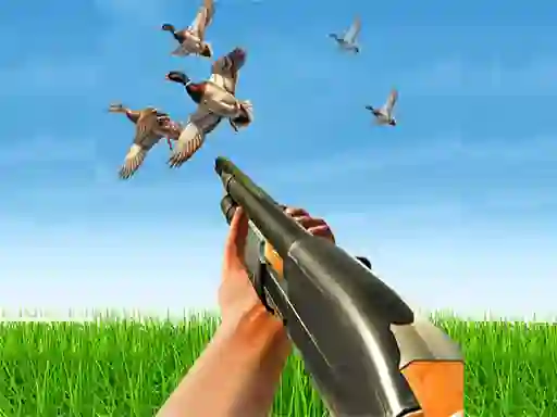 Gra Bird Hunting w Internecie