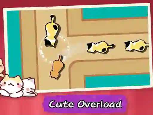 Gra Cat Freeway w Internecie