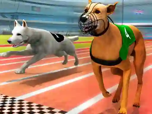 Gra Dogs 3D Races w Internecie