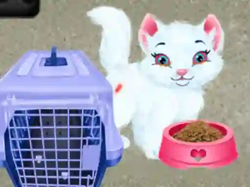 Gra Baby Taylor Pet Care w Internecie