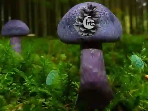 Gra Mushroom Forest Adventure w Internecie