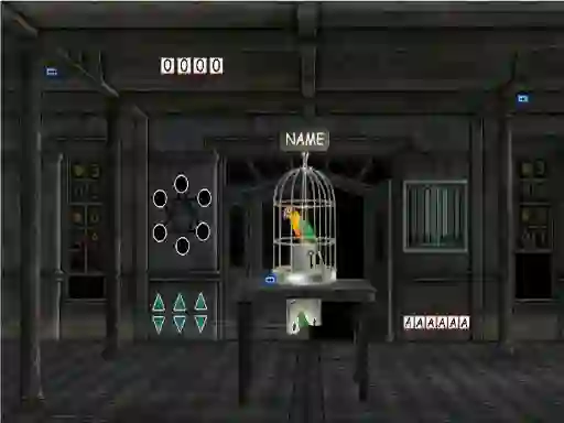Gra Parrots Escape w Internecie