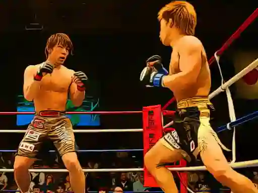 Gra MMA Fighters Jigsaw w Internecie