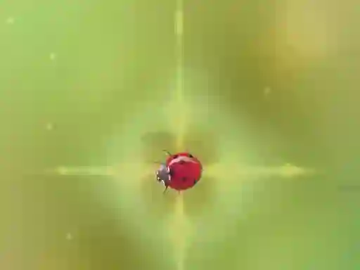 Gra Pest Control w Internecie