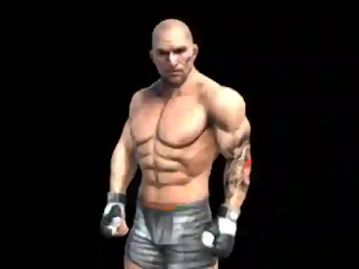 Gra Fight Arena Online w Internecie