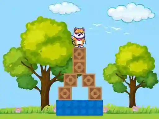 Gra Box Challenge w Internecie