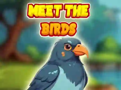 Gra Meet The Birds w Internecie
