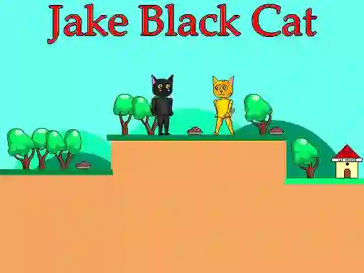 Gra Jake Black Cat w Internecie