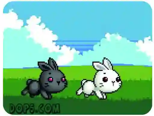 Gra Cute Rabbit w Internecie