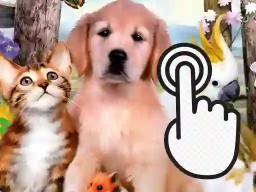 Gra Pets Clicker w Internecie