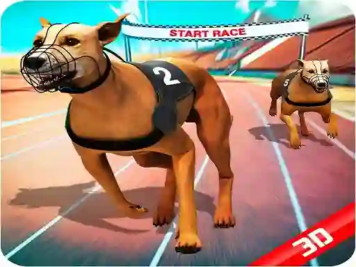 Gra Crazy Dog Race w Internecie