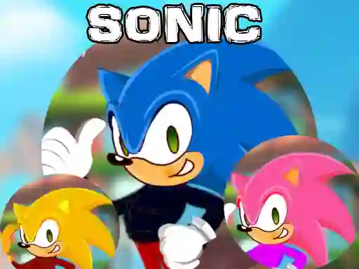 Gra Sonic Dress Up w Internecie