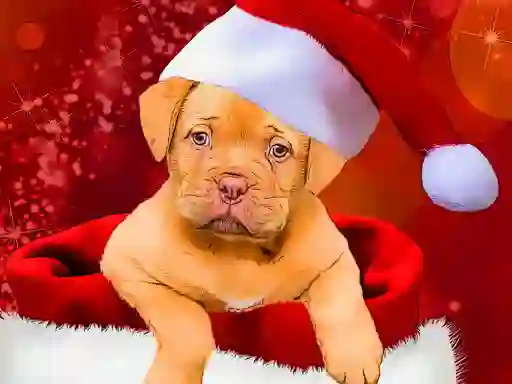 Gra Christmas Dogs Styles w Internecie