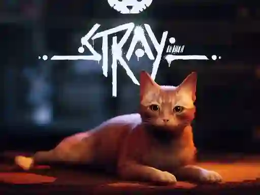 Gra Stray w Internecie