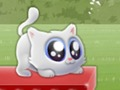 Gra Ekstremalne Kitten  w Internecie