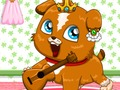Gra Pet Ruletka  w Internecie