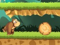 Gra Dżungla Banana  w Internecie