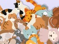 Gra Znajdź Kitty  w Internecie