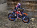 Gra Moto Procesy przemysłowe  w Internecie