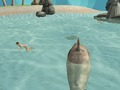 Gra Rekin Simulator Zabójca Plaża  w Internecie
