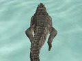 Gra Symulacja krokodyla Beach Hunt  w Internecie