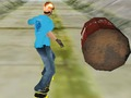 Gra Niesamowite Skater 3d  w Internecie