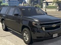 Gra Różnice podmiejskich samochodów Chevrolet  w Internecie