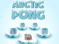 Gra Arctic Pong w Internecie