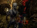 Gra Zombie vs Berserk 2 w Internecie