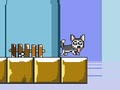 Gra Pan Jump Husky  w Internecie