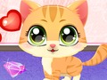 Gra Kitty Fun Care w Internecie