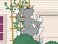 Gra Tom Und Jerry: Wasserbomben Wahnsinn w Internecie