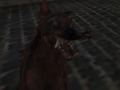 Gra Nazistowska Armia Zombie  w Internecie
