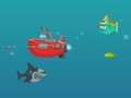 Gra Shark Dash w Internecie