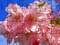 Gra Puzzle: kwiaty  w Internecie